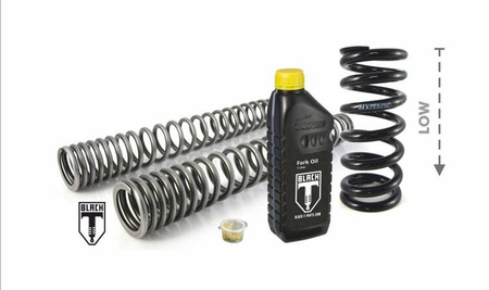 Black-T height lowering kit -30mm for Indian FTR 1200 / FTR 1200 S (2019-2021) replacement springs